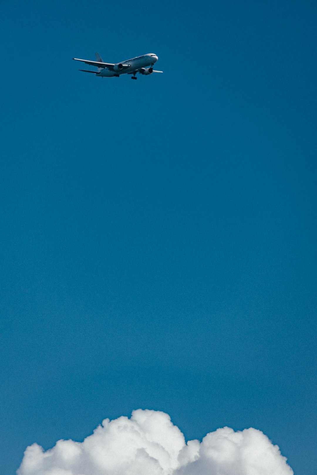 Vacation Home Rentals in Tybee Island: Your Coastal Getaway Guide & Tips