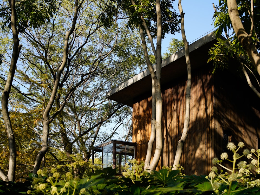 Vacation Home Rentals in Tybee Island: Your Ultimate Beach Getaway Guide