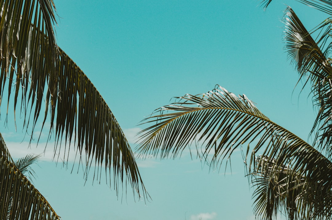 Vacation Homes Cape Coral FL: Your Ultimate Guide to Waterfront Rentals