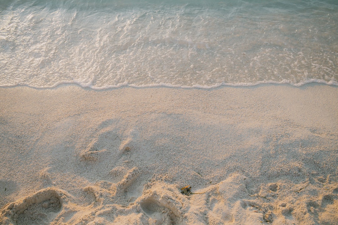 Vacation Homes for Rent in Jekyll Island GA: Coastal Getaways & Family Retreats