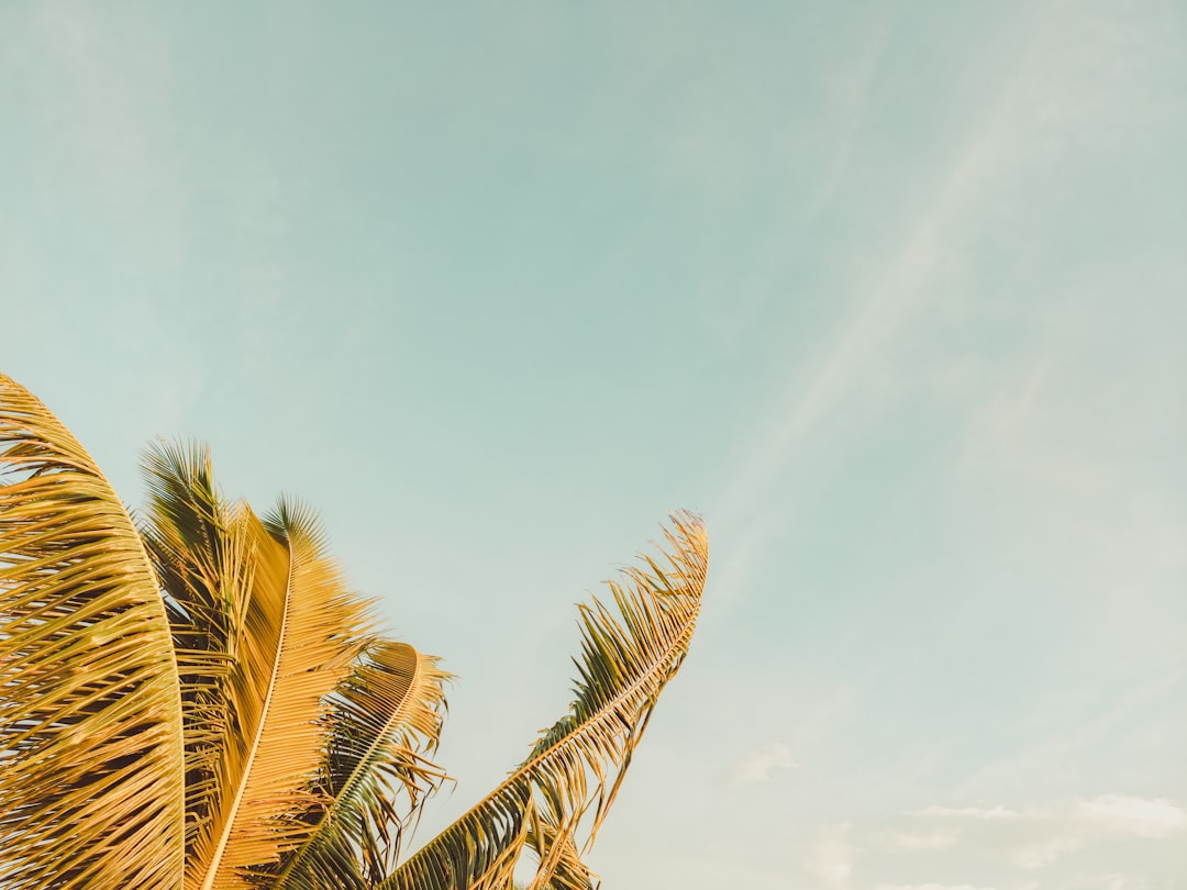 Vacation Homes Rentals: Your Ultimate Guide to Perfect Getaways