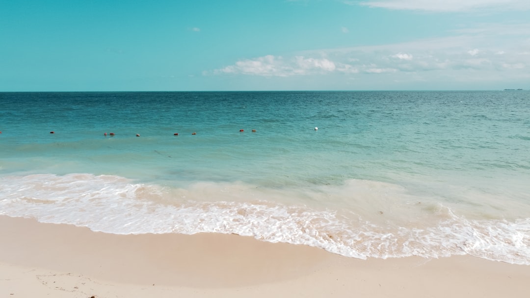 Vacation Rentals Myrtle Beach SC: Best Condos & Oceanfront Homes