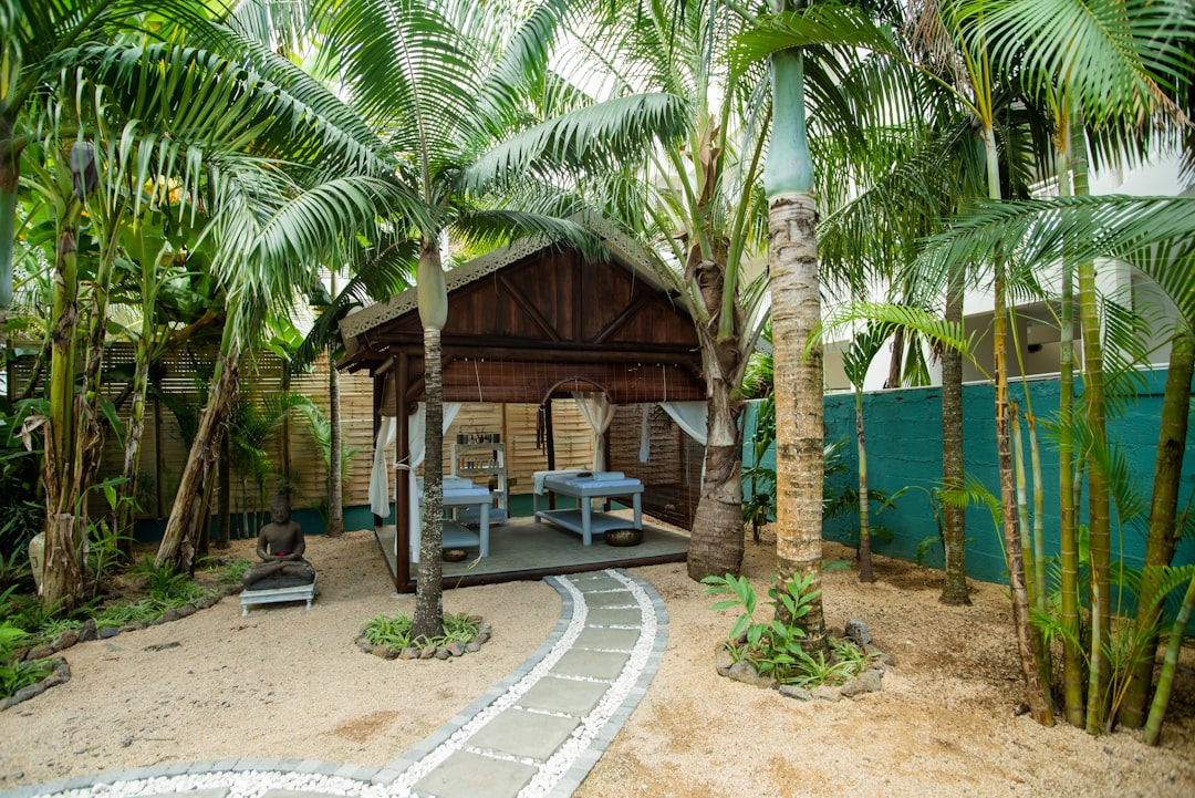 Vacation Rentals Outer Banks NC: Beachfront Homes & Family Getaways