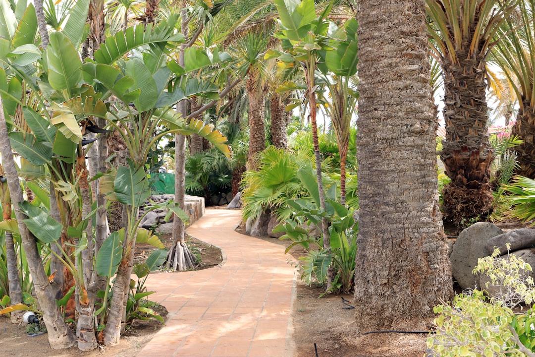 Vacation Village at Parkway: Family Fun & Orlando Magic