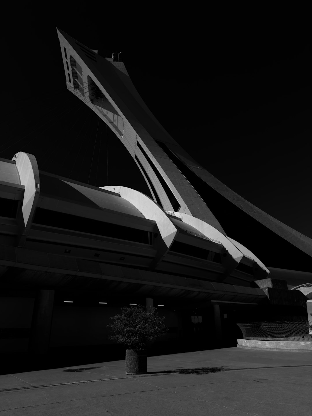 Vegas Knights Fan's Ultimate Tampa Hockey Trip Guide