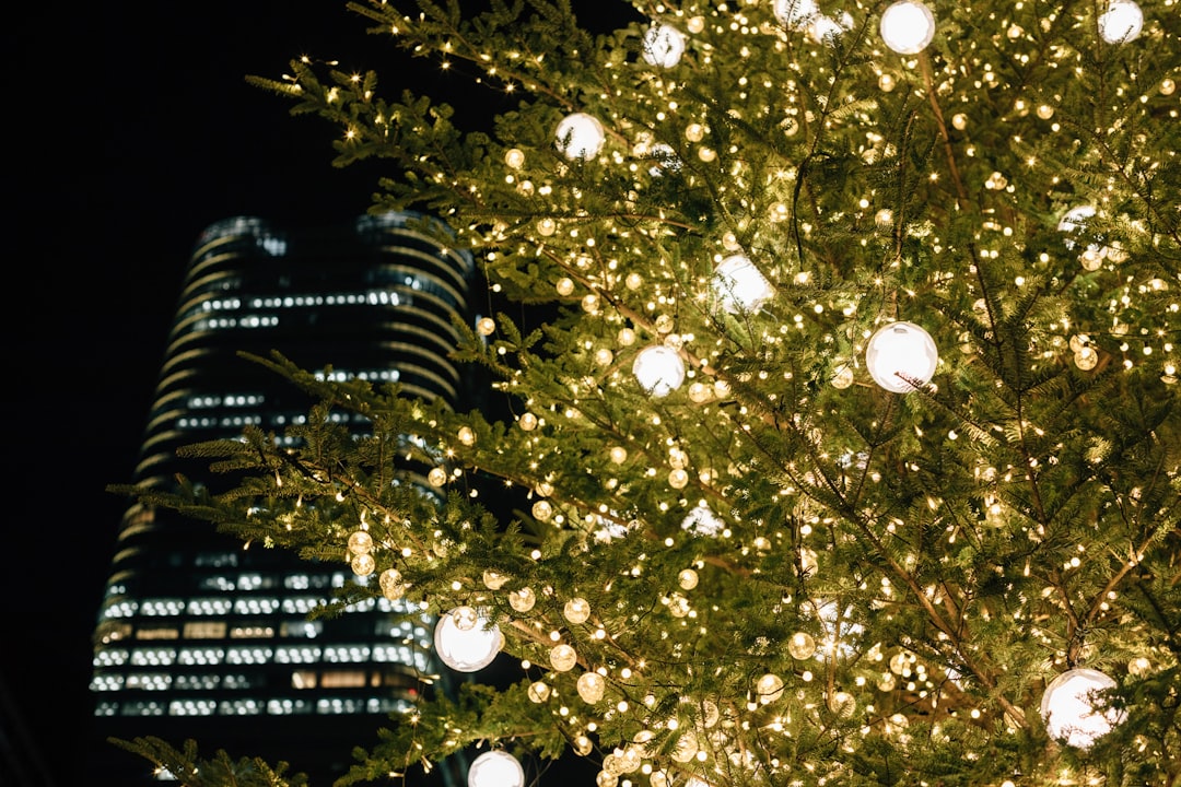 Watch National Lampoon's Christmas Vacation: Holiday Fun Guide