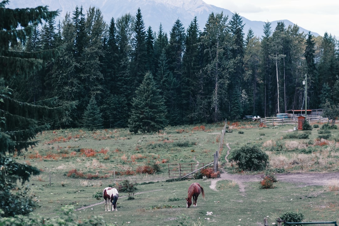 West Yellowstone Family Vacation: Ultimate Guide & Wildlife Adventures