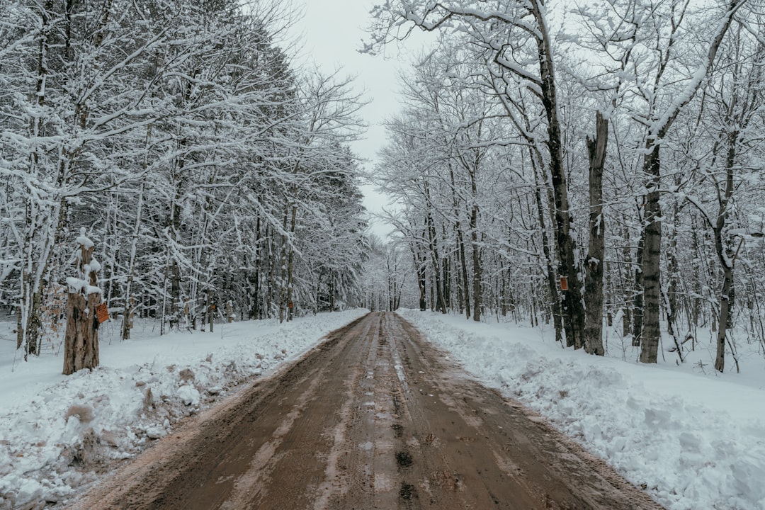 Where to Travel in December: Top Destinations & Winter Getaways