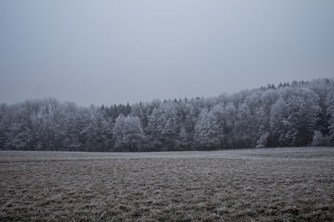 Where to Travel in February: Best Destinations & Winter Sun Escapes