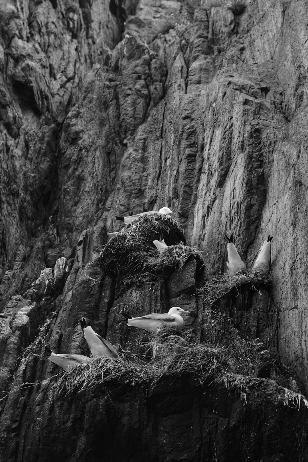 Why America's Tourist Boom Is Suddenly Busting