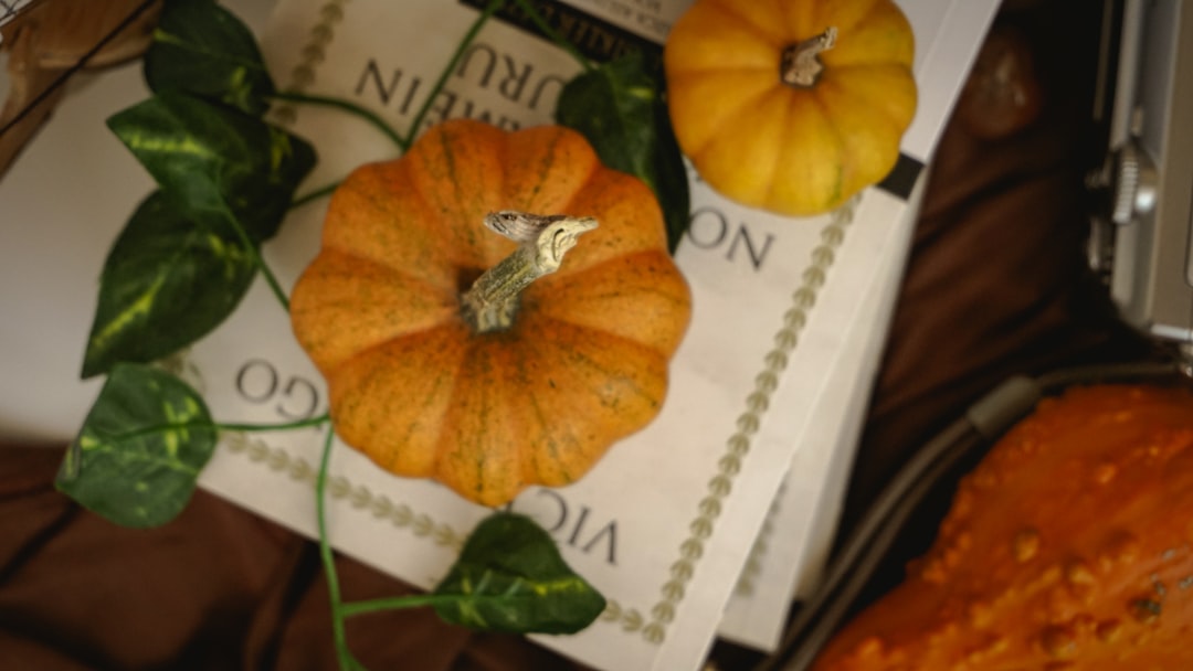 Why Everyone Flocks to These 2 Cities for Thanksgiving