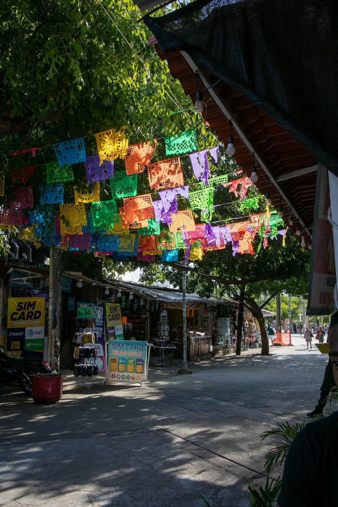 Why I Fell in Love With Mexico City After Hating Travel